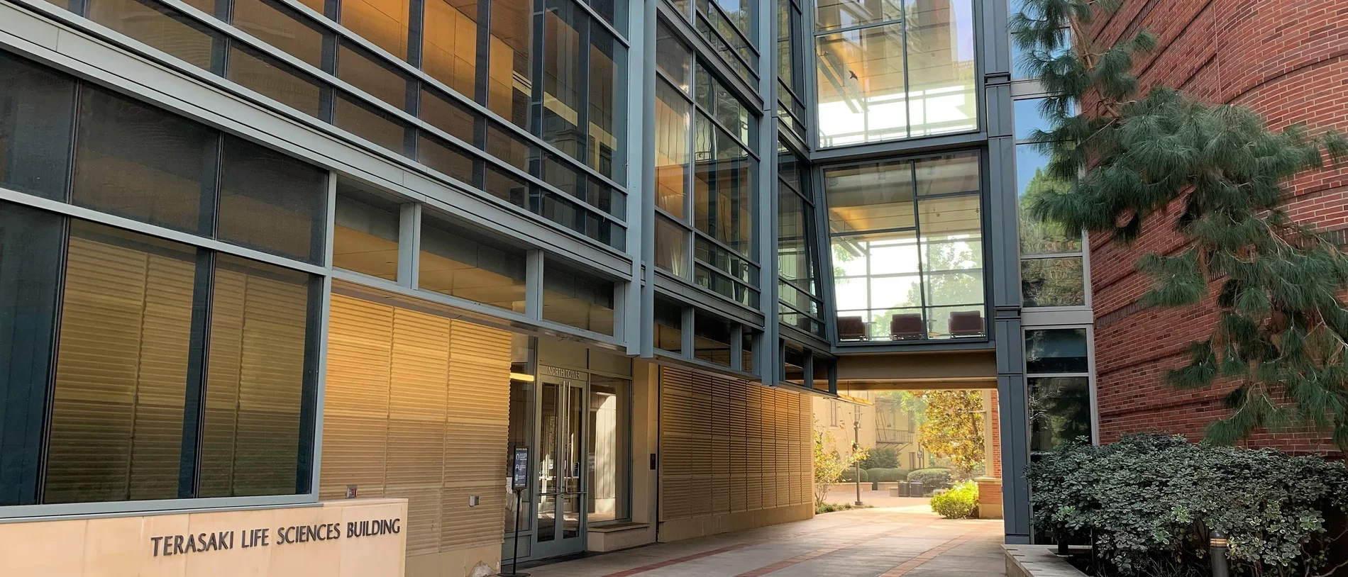 Coller Laboratory